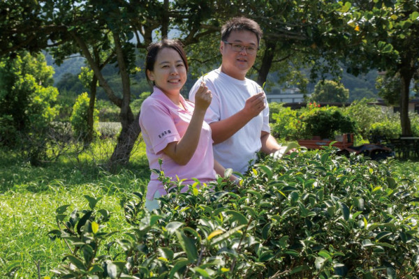農傳媒_豐年雜誌-星源茶源專題報導